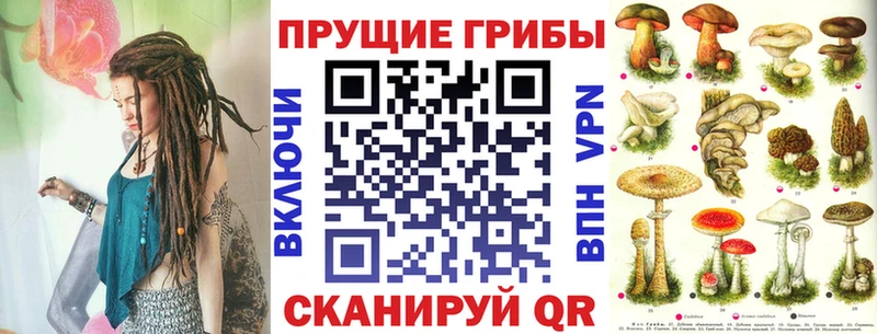 Галлюциногенные грибы Magic Shrooms  Мещовск 