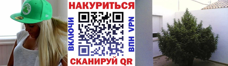Каннабис AK-47  как найти закладки  Мещовск 